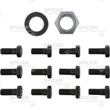 Dana 80 Ring Gear Bolt Kit