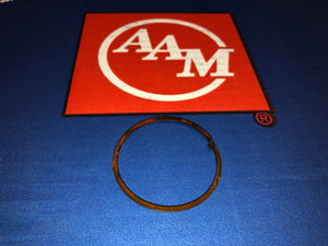 GM 10.5" 14 Bolt Spindle Snap Ring