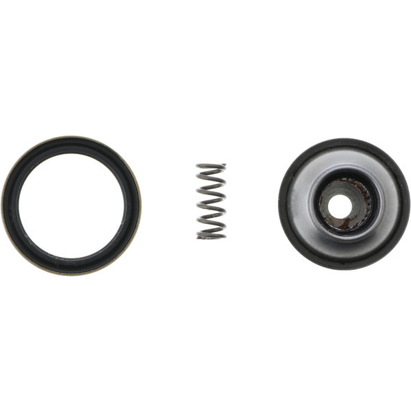 dandanさん専用　myufull C250 Hard Iron Seal Plate (Stuffing Box) for Mechanical Seal